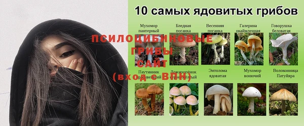 кристаллы Медвежьегорск